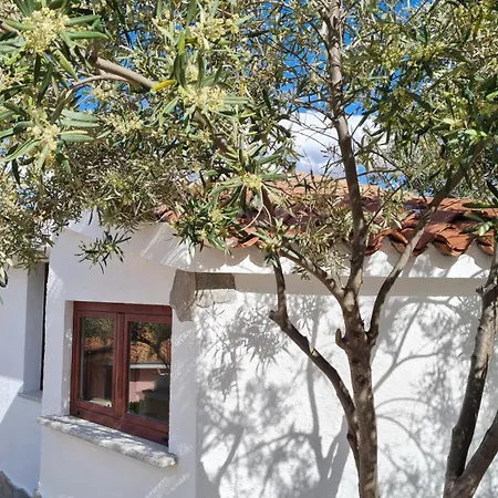 Villa Sa Mama *